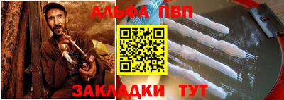 СК Кингисепп