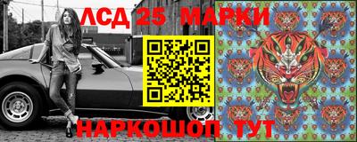 СК Кингисепп