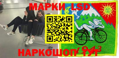СК Кингисепп
