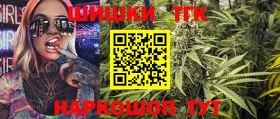 СК Кингисепп