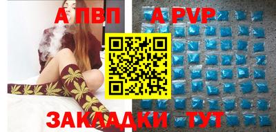 СК Кингисепп