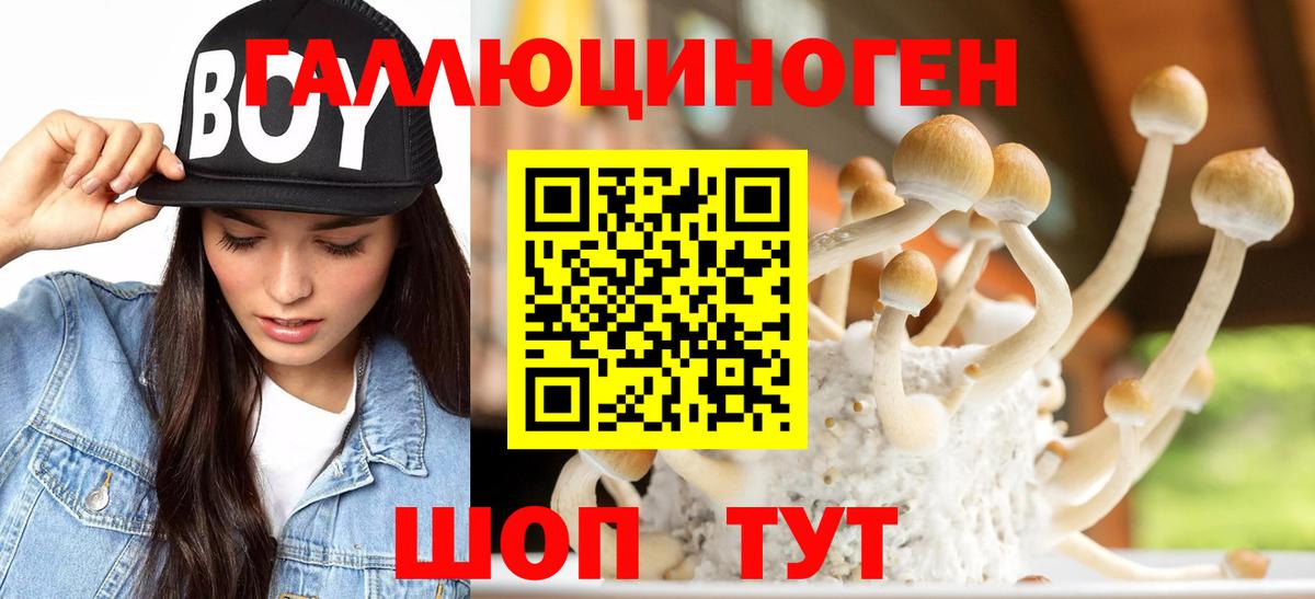Галлюциногенные грибы Psilocybe  Вход с VPN  Видное  Галлюциногенные грибы мухоморы 