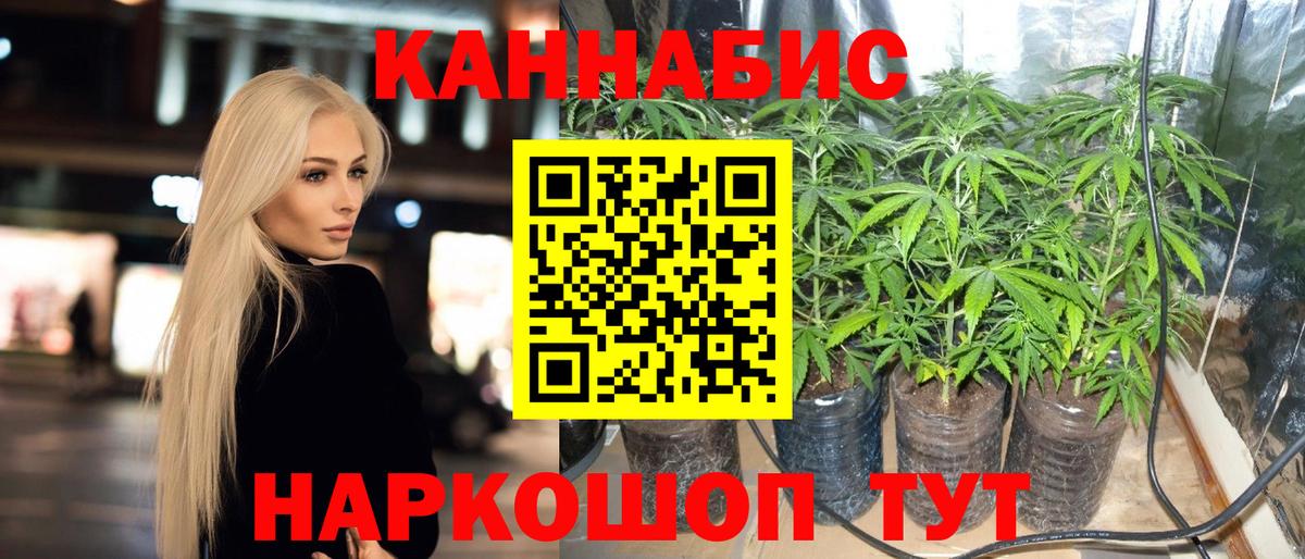 Конопля гибрид Видное
